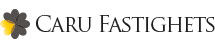 Här är mer information om Caru Fastighets